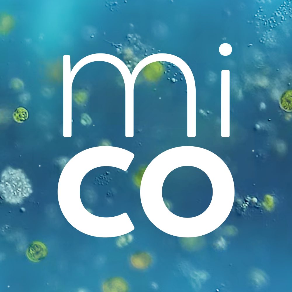 MICO-2201_Avatar_v2